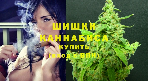 эйфоретик Вяземский
