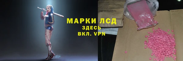 эйфоретик Вяземский
