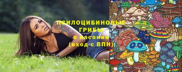 эйфоретик Вяземский