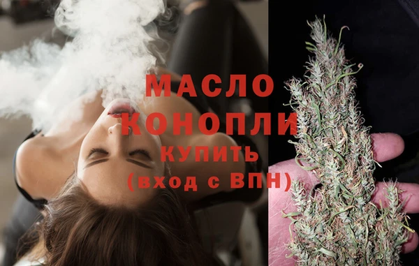 эйфоретик Вяземский