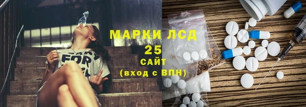 эйфоретик Вяземский
