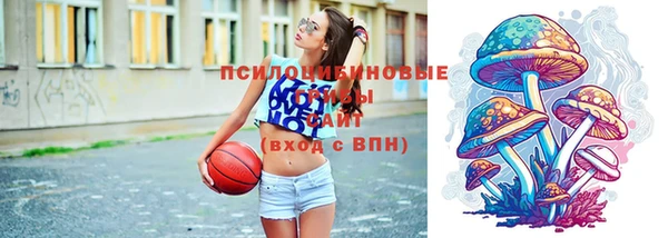 стафф Вязники