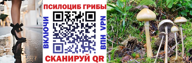 Галлюциногенные грибы Cubensis  Минеральные Воды 