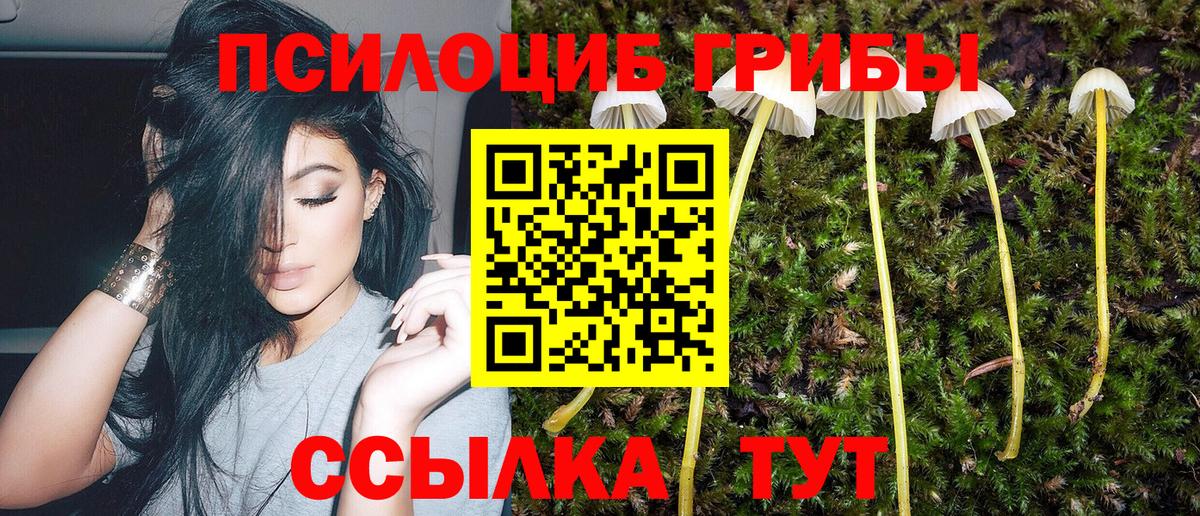 Псилоцибиновые грибы мицелий Минеральные Воды