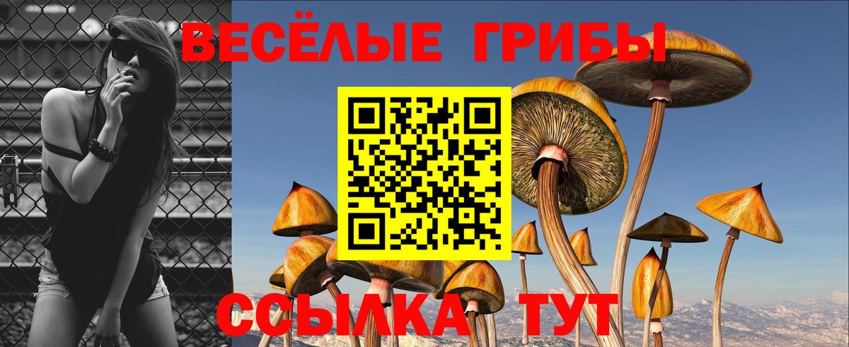 Псилоцибиновые грибы ЛСД  Минеральные Воды  Галлюциногенные грибы Cubensis 