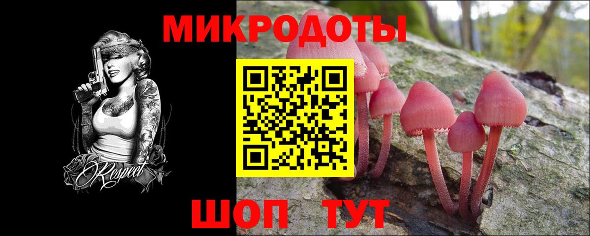 купить закладку  Вход с VPN  Минеральные Воды  Псилоцибиновые грибы Cubensis  Псилоцибиновые грибы мицелий 